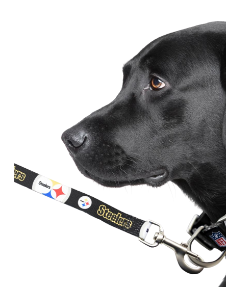 Steelers Pet Lead